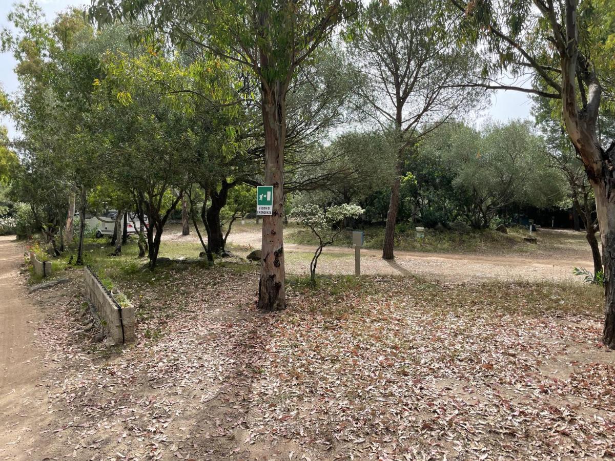 Cugnana Porto Rotondo Bungalows - Camping Экстерьер фото